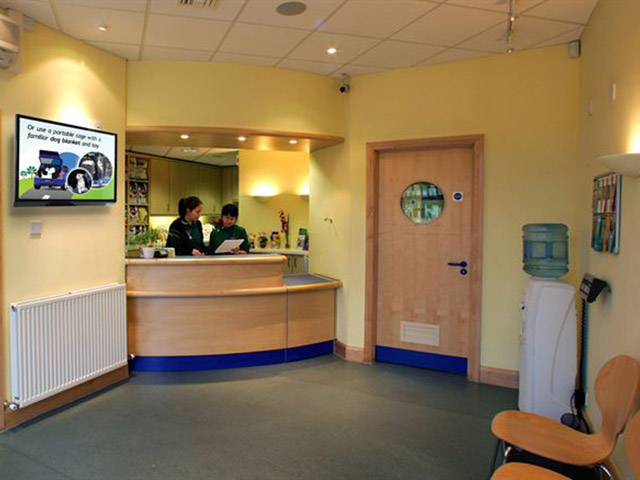 Carpets and upholstery