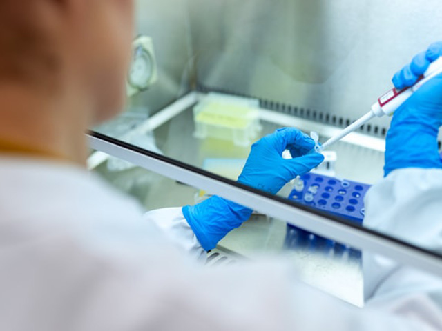 Laboratory and Pharmacy